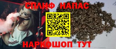 a pvp Братск