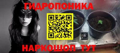 a pvp Братск