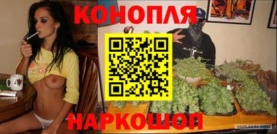 a pvp Братск