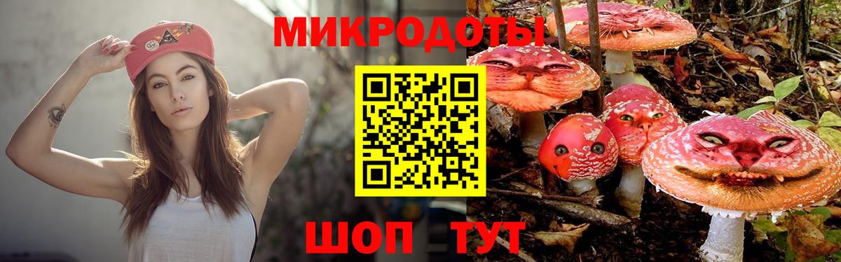 Галлюциногенные грибы MAGIC MUSHROOMS  Вход с VPN  Муром 